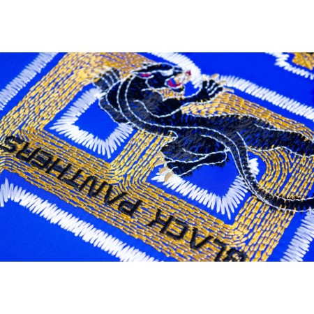 Software pro tvorbu vyšívacích vzorů Brother BE EmbroideryStudio